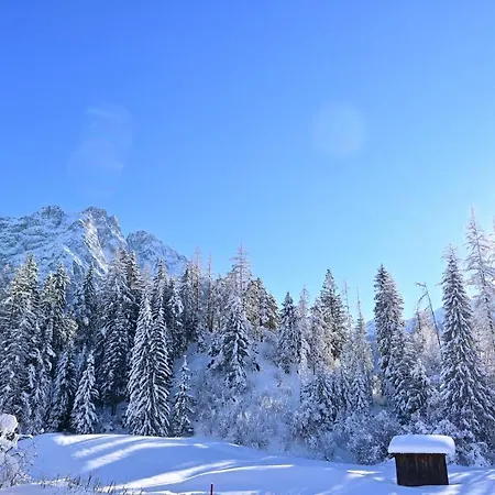 Zirbennest Martha Apartment *