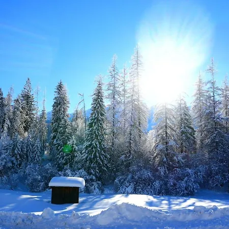 Zirbennest Martha Apartment *