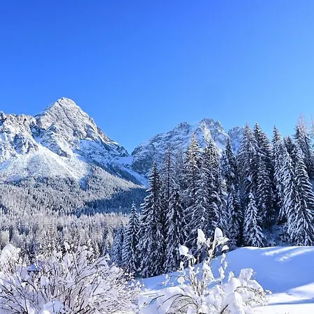 Zirbennest Martha Lejlighed