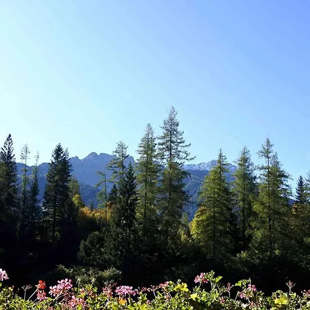 Zirbennest Martha 公寓 比伯维尔