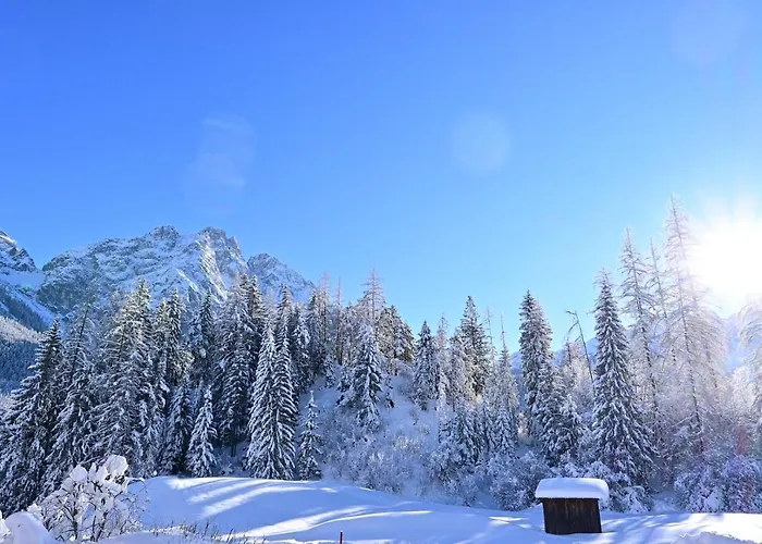 Zirbennest Martha 公寓 *