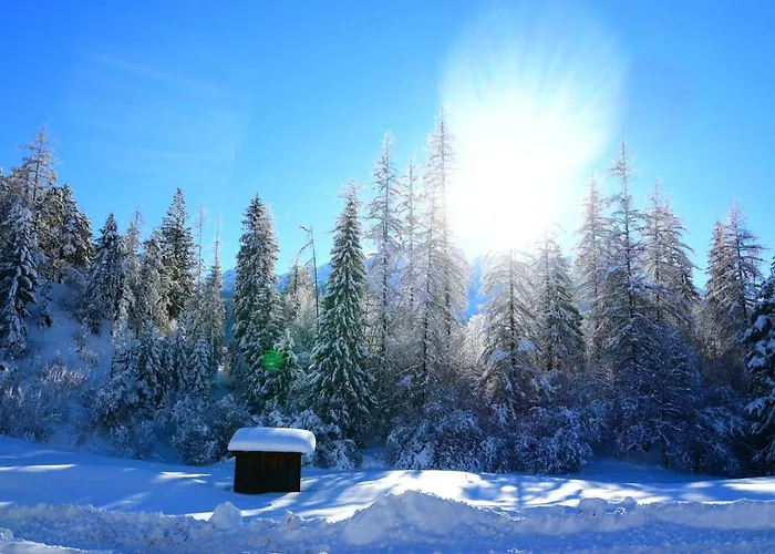 Zirbennest Martha Apartman *