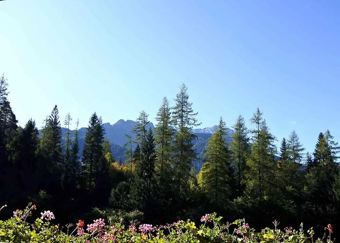 Zirbennest Martha 公寓 比伯维尔