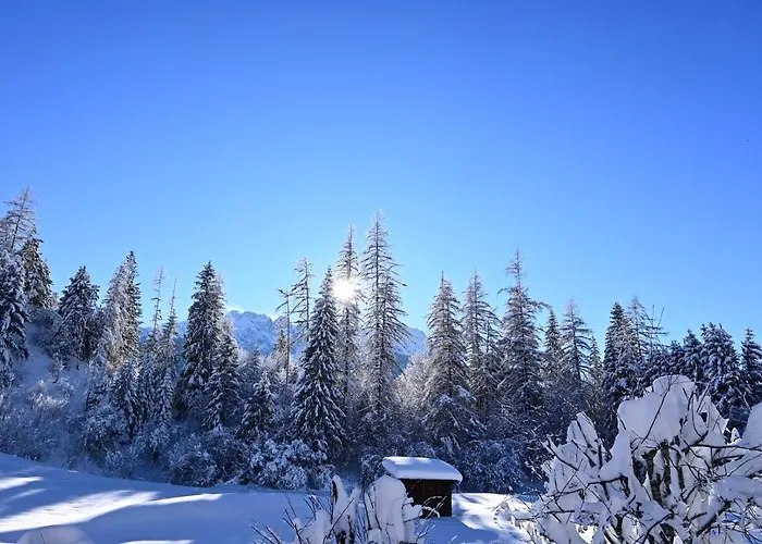 Zirbennest Martha Biberwier